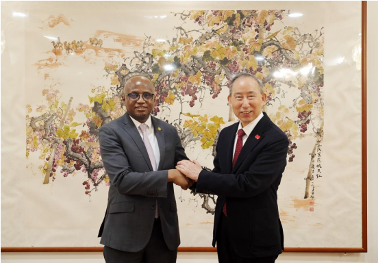 股壹佰 龙宇翔与莱索托王国驻华大使肯尼思·拉巴莱亲切会见