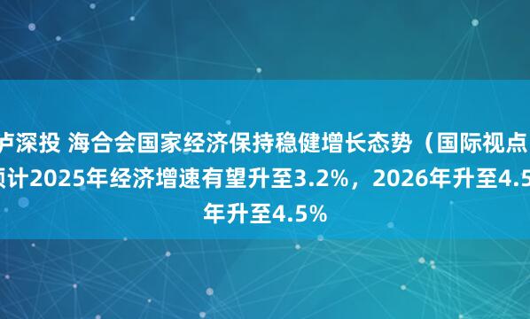 泸深投 海合会国家经济保持稳健增长态势（国际视点） 预计2025年经济增速有望升至3.2%，2026年升至4.5%