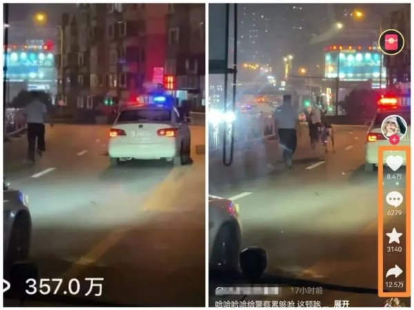 点登富 中山路上两只梅花鹿误入车道，民警一路小跑紧随其后