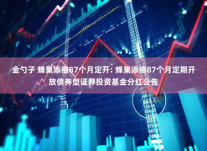 金勺子 蜂巢添禧87个月定开: 蜂巢添禧87个月定期开放债券型证券投资基金分红公告